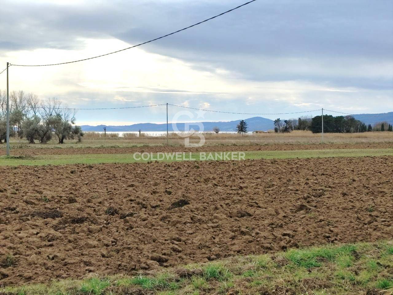 Terreno agricolo in vendita a San Lorenzo Nuovo