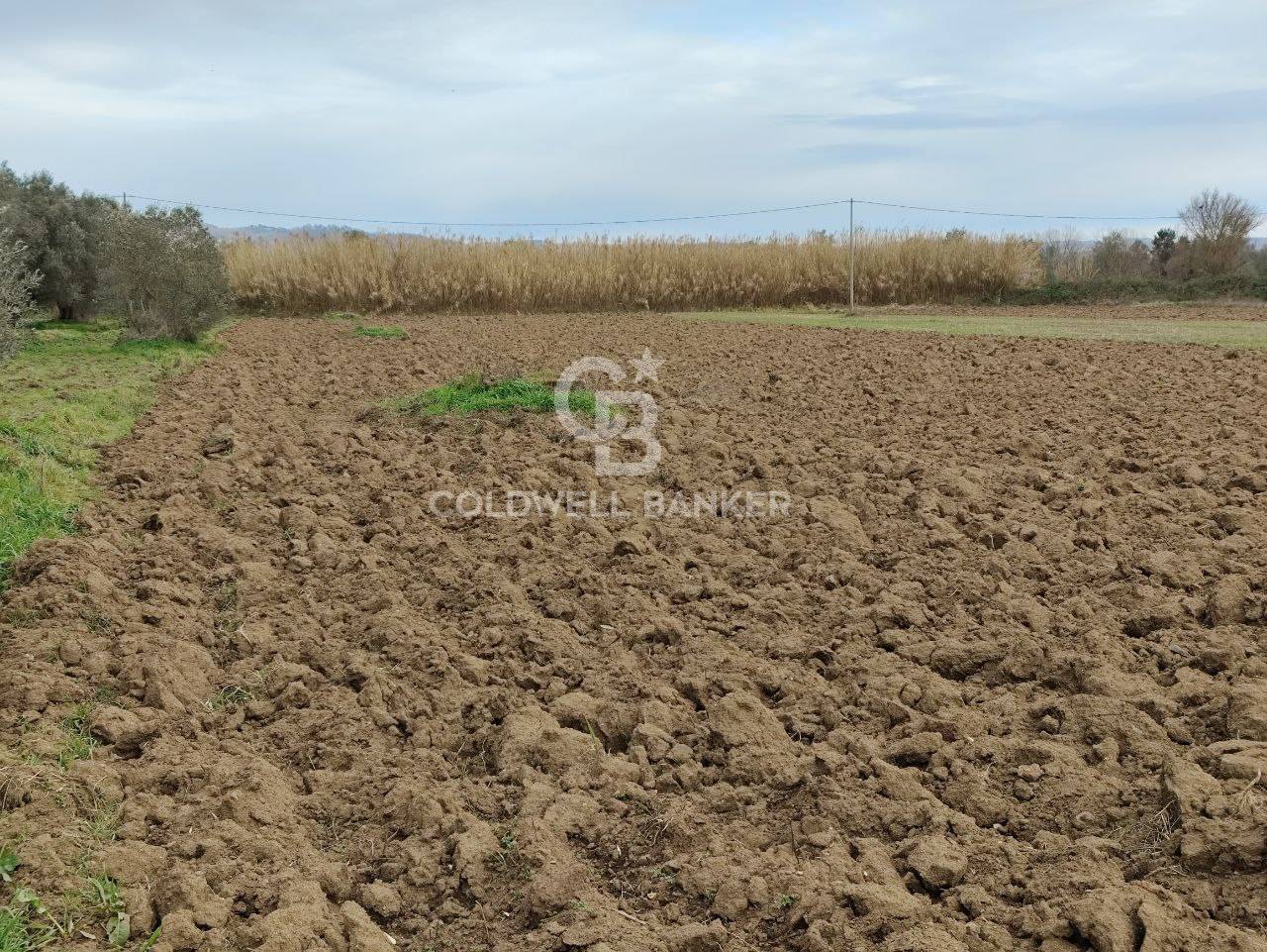 Terreno agricolo in vendita a San Lorenzo Nuovo