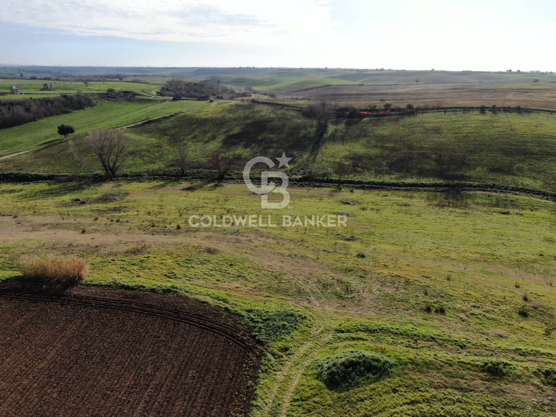 Terreno agricolo in vendita a Montalto di Castro, Montalto di Castro
