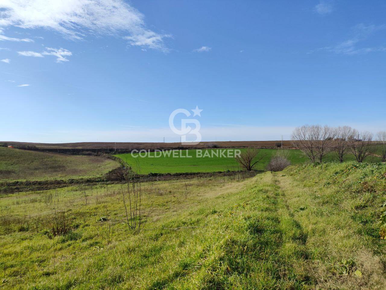 Terreno agricolo in vendita a Montalto di Castro, Montalto di Castro