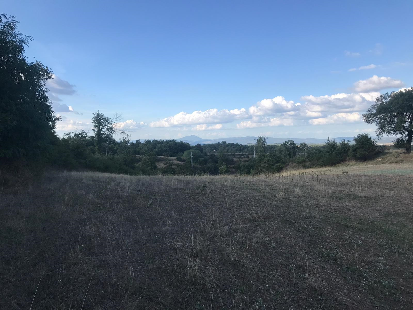 Terreno agricolo in vendita a Gradoli