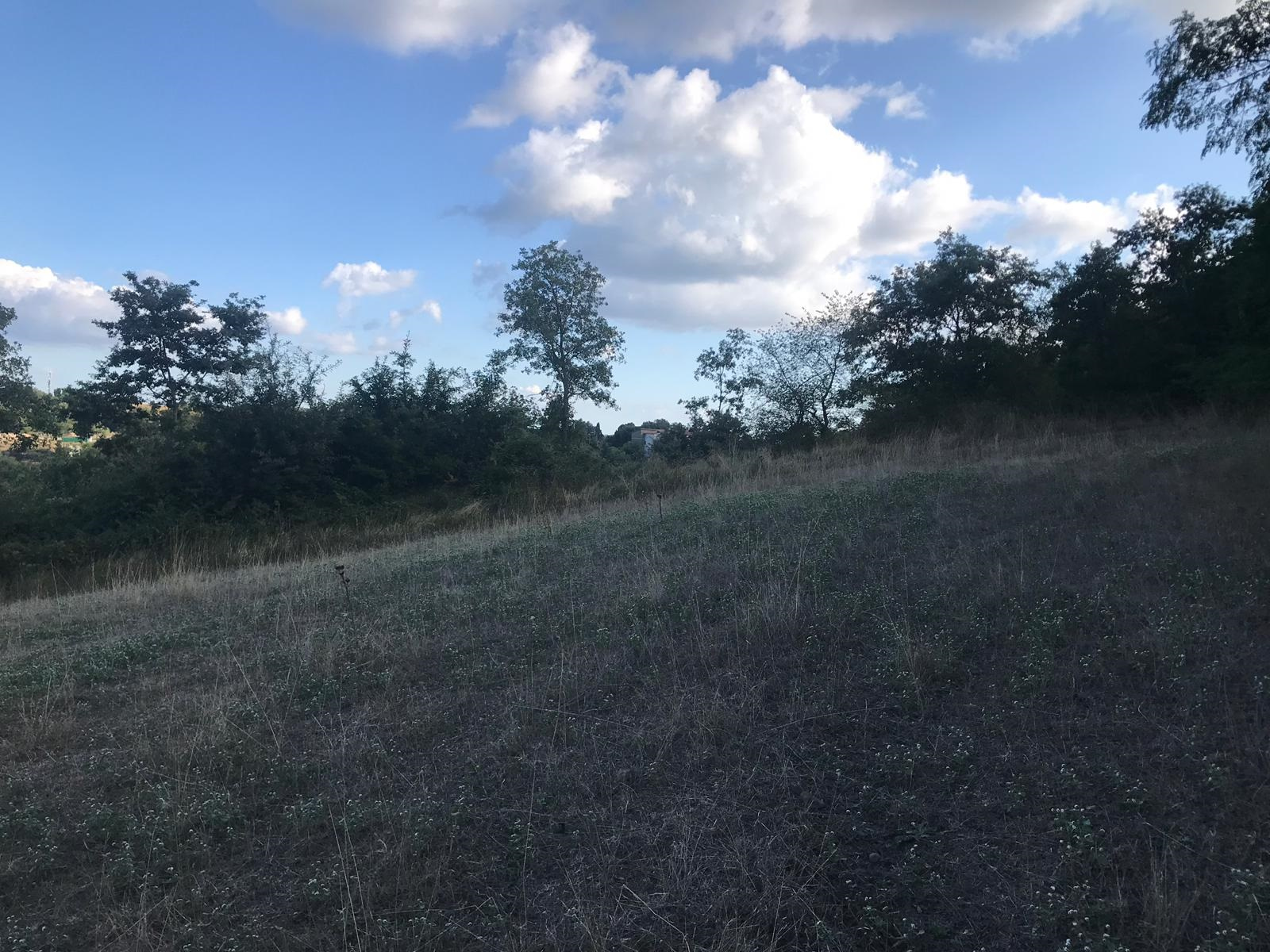 Terreno agricolo in vendita a Gradoli