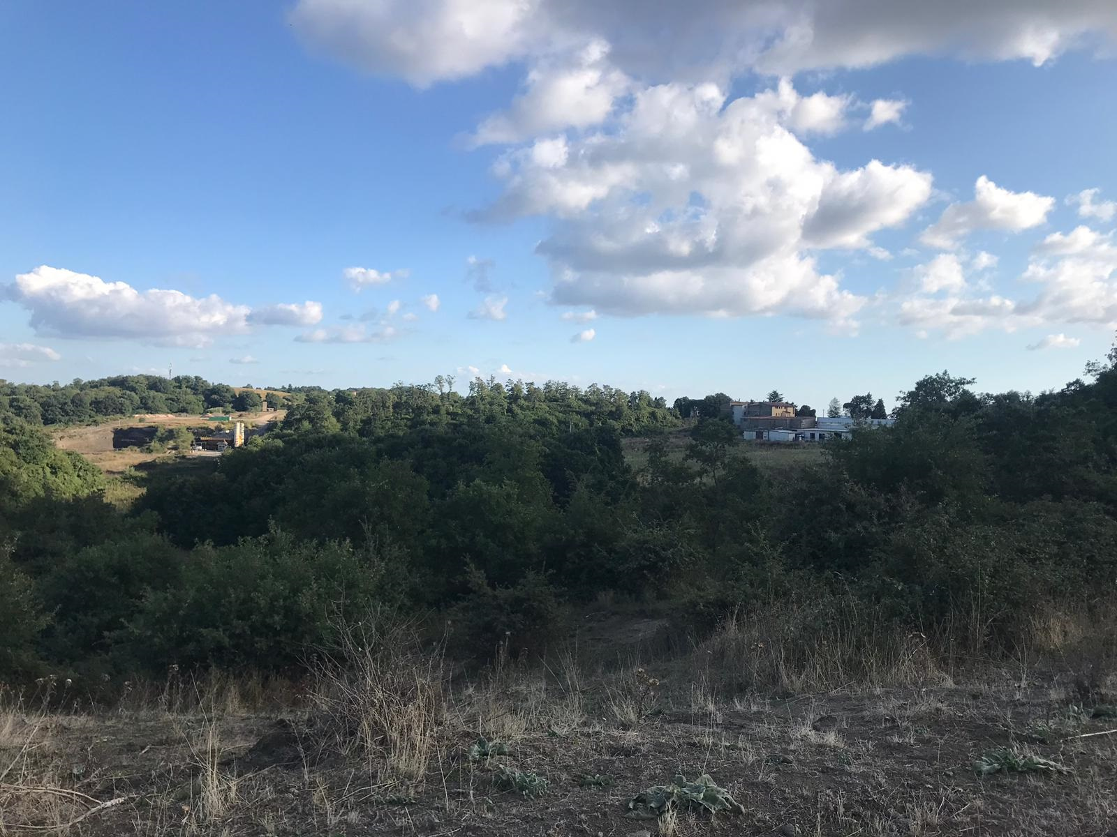Terreno agricolo in vendita a Gradoli