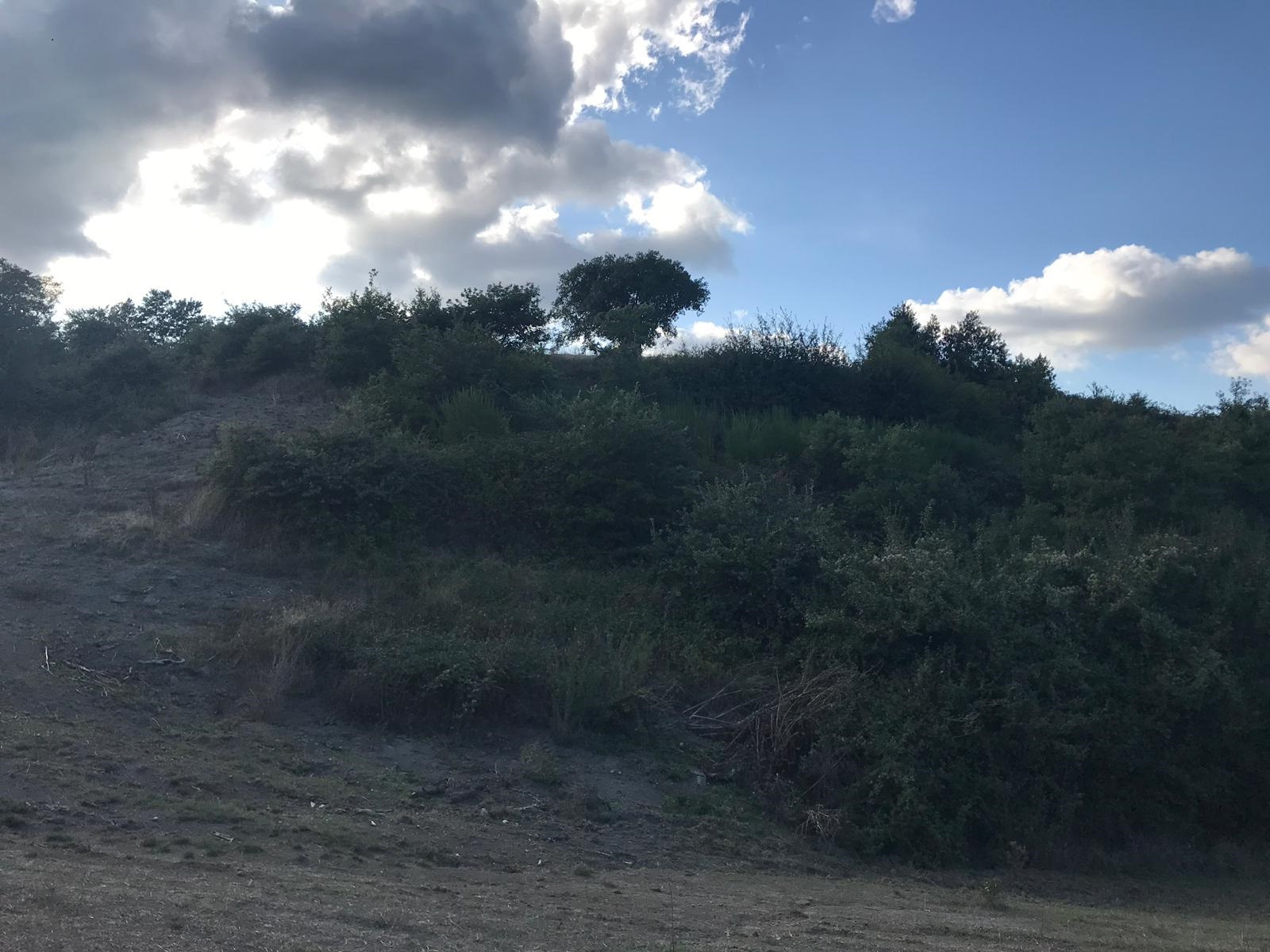 Terreno agricolo in vendita a Gradoli