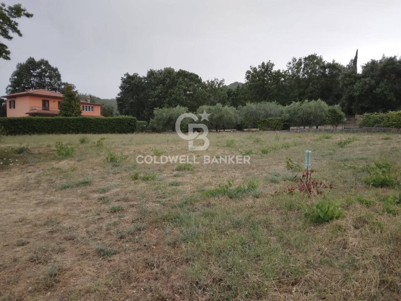 Terreno Edificabile in vendita a Soriano nel Cimino