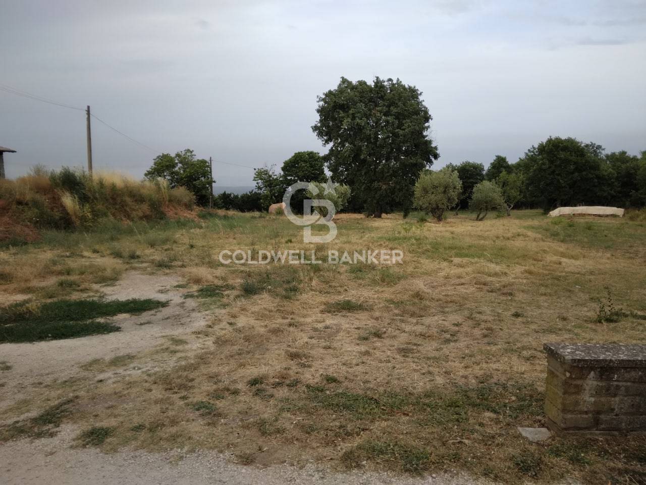 Terreno Edificabile in vendita a Soriano nel Cimino