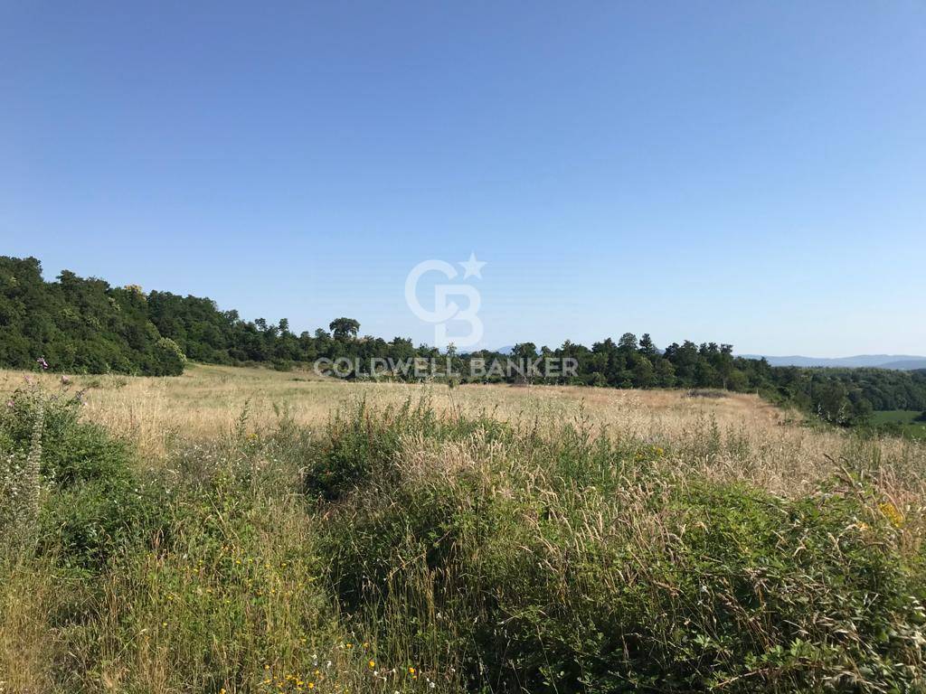 Terreno agricolo in vendita a Gradoli