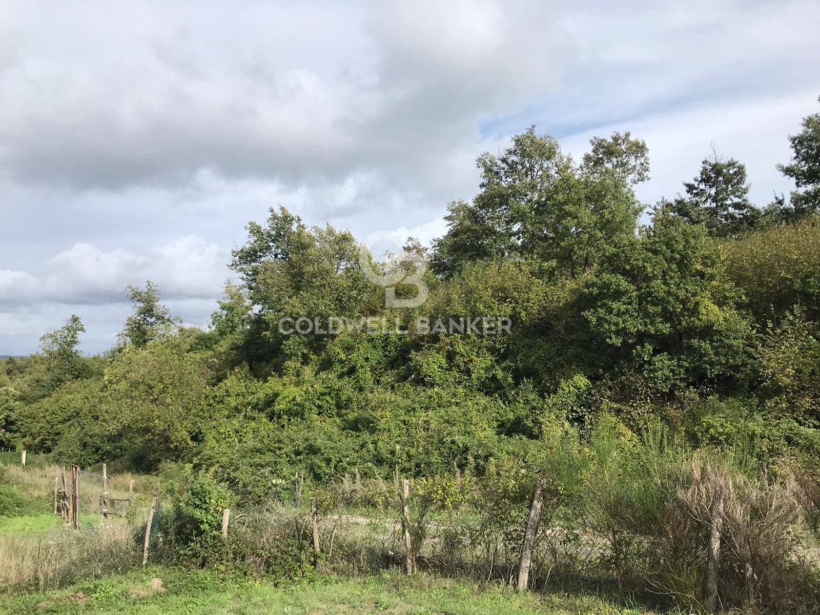 Terreno agricolo in vendita a Gradoli