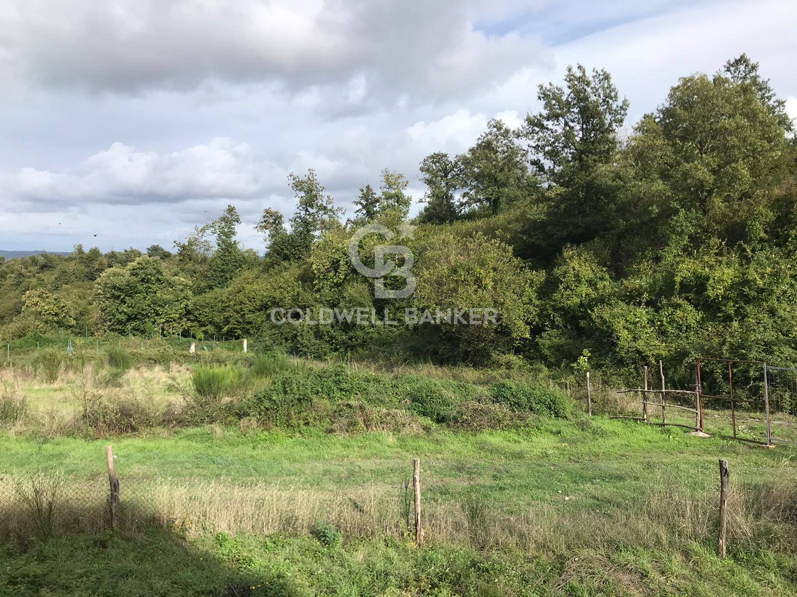 Terreno agricolo in vendita a Gradoli