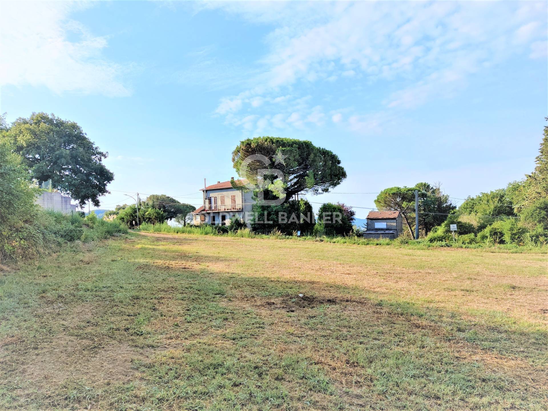 Terreno Edificabile in vendita a Gradoli