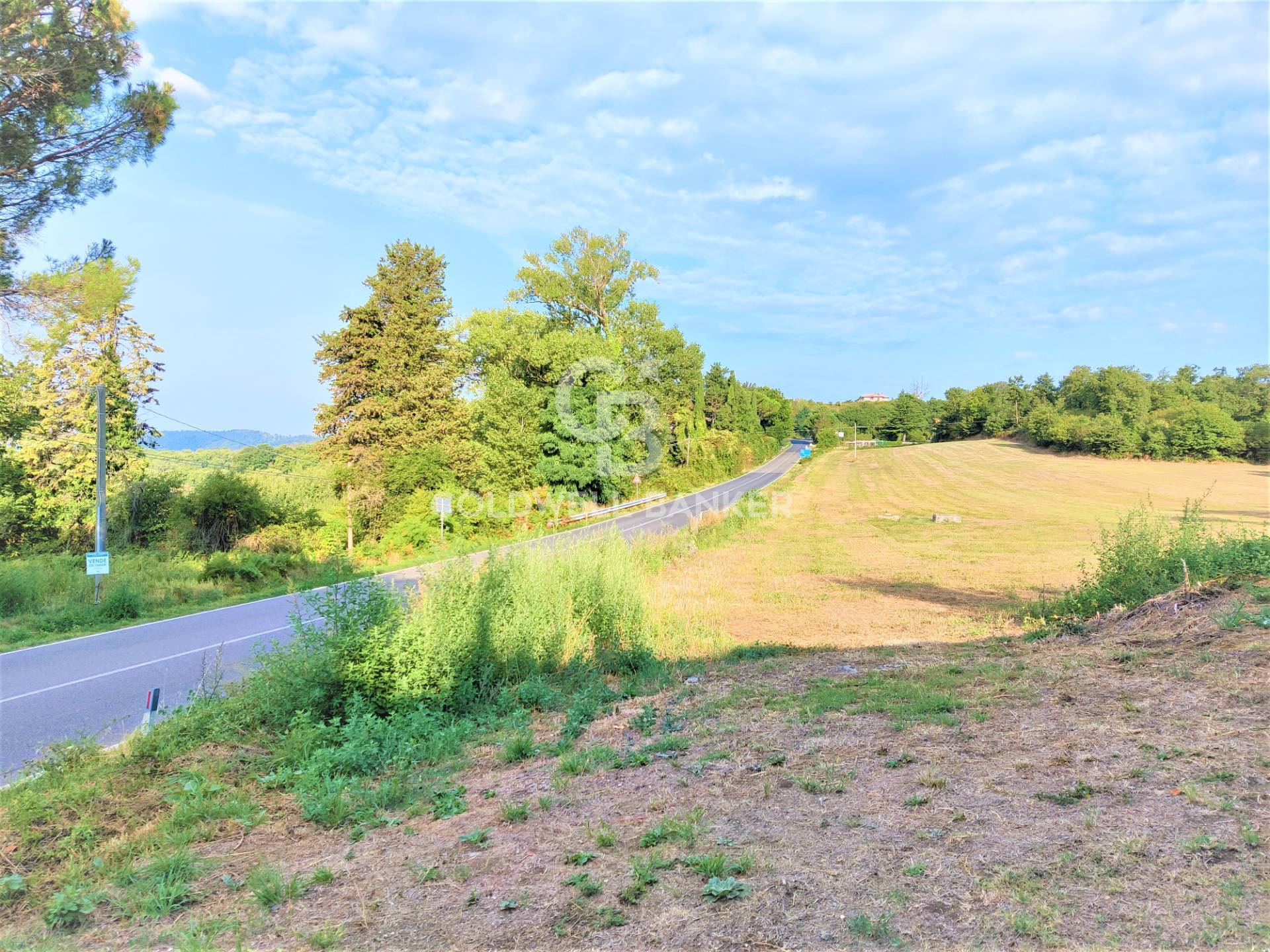 Terreno Edificabile in vendita a Gradoli