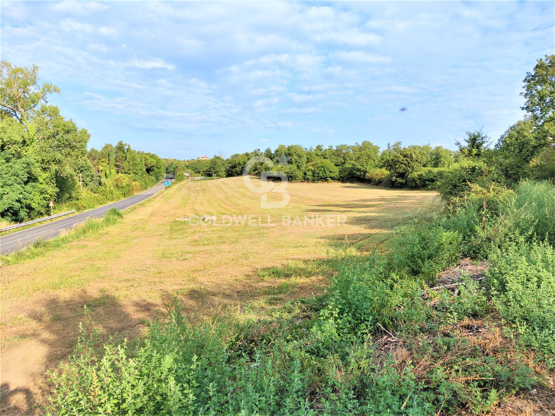 Terreno Edificabile in vendita a Gradoli