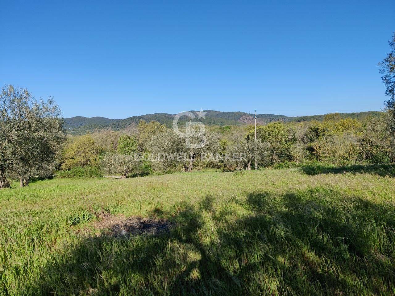 Terreno agricolo in vendita a Ischia di Castro