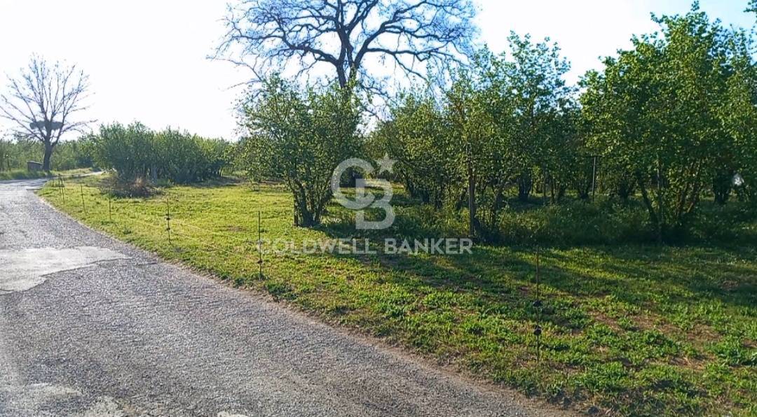 Terreno agricolo in vendita a Gallese