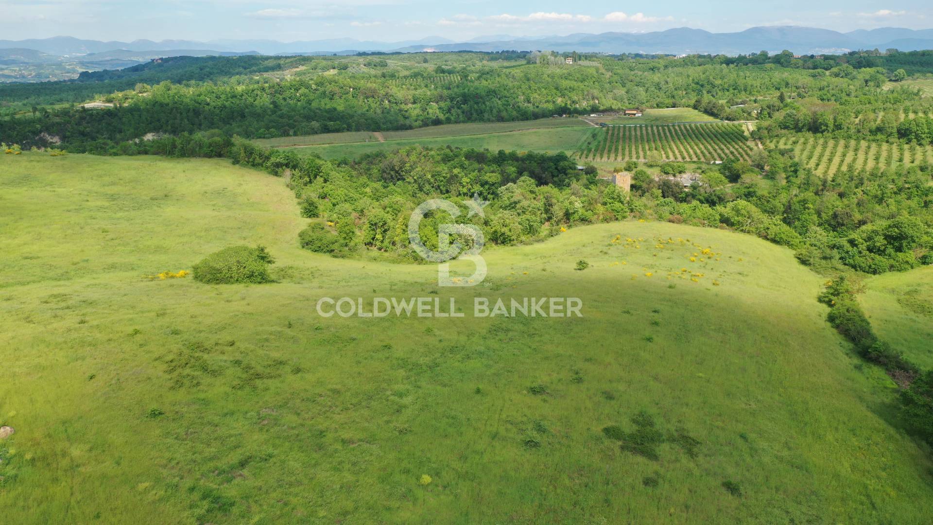 Terreno agricolo in vendita a Vasanello
