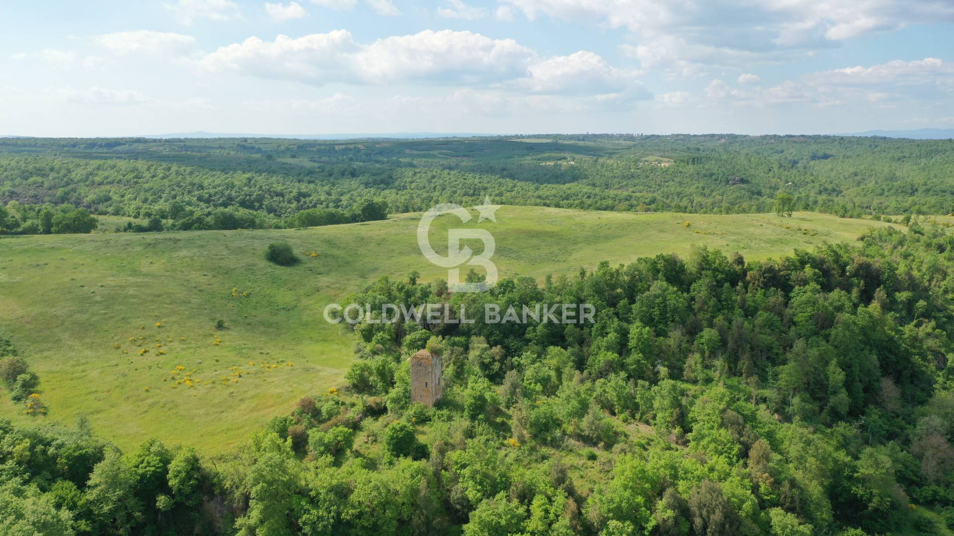 Terreno agricolo in vendita a Vasanello