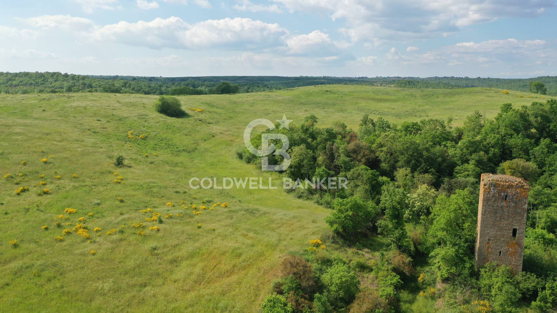 Terreno agricolo in vendita a Vasanello