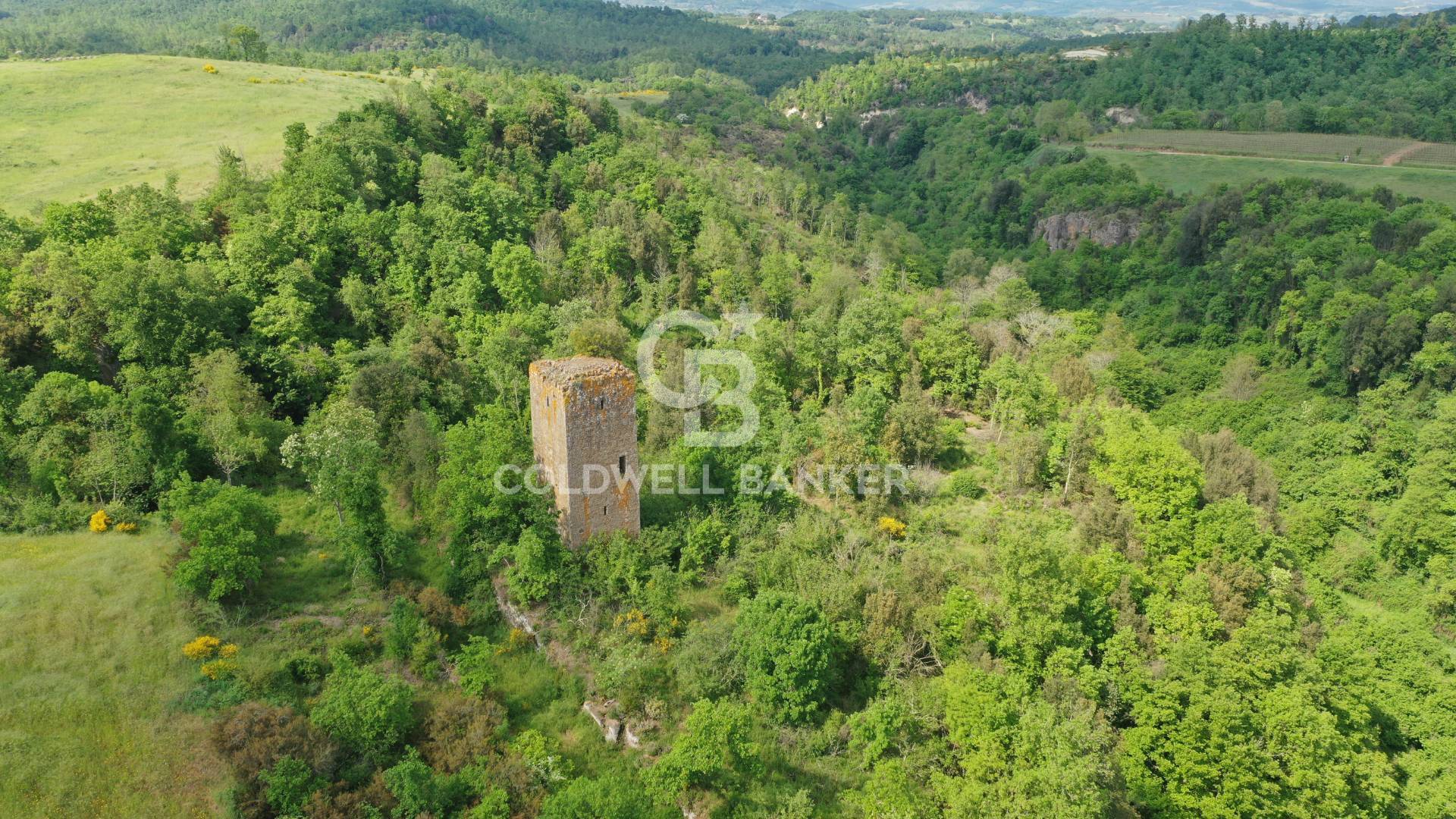 Terreno agricolo in vendita a Vasanello