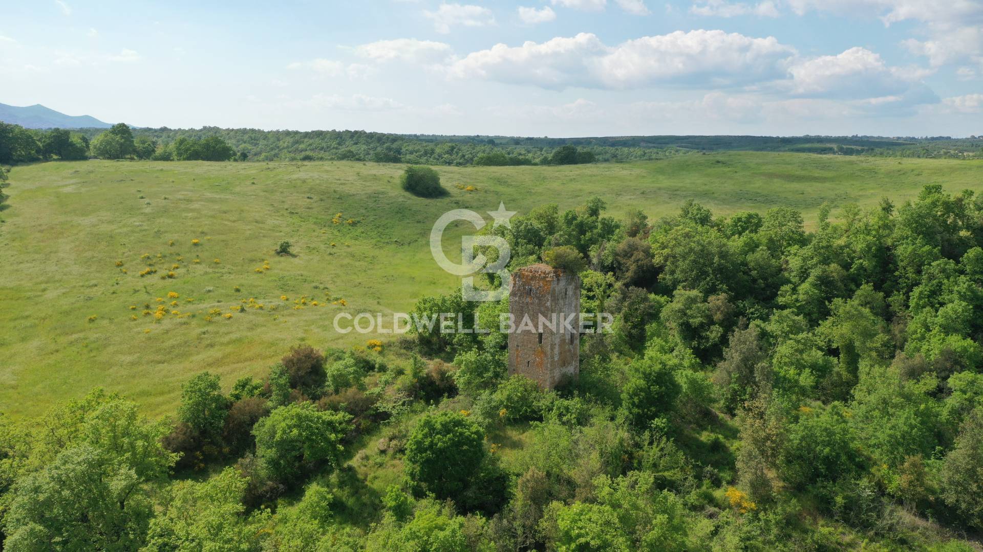 Terreno agricolo in vendita a Vasanello