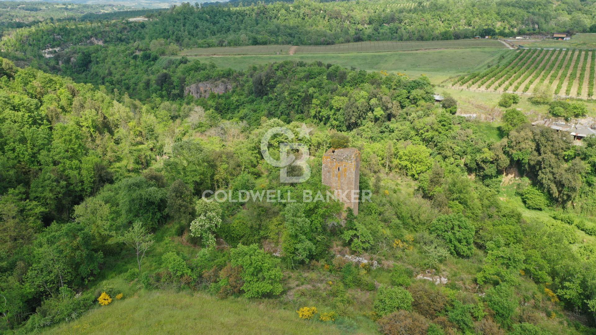 Terreno agricolo in vendita a Vasanello