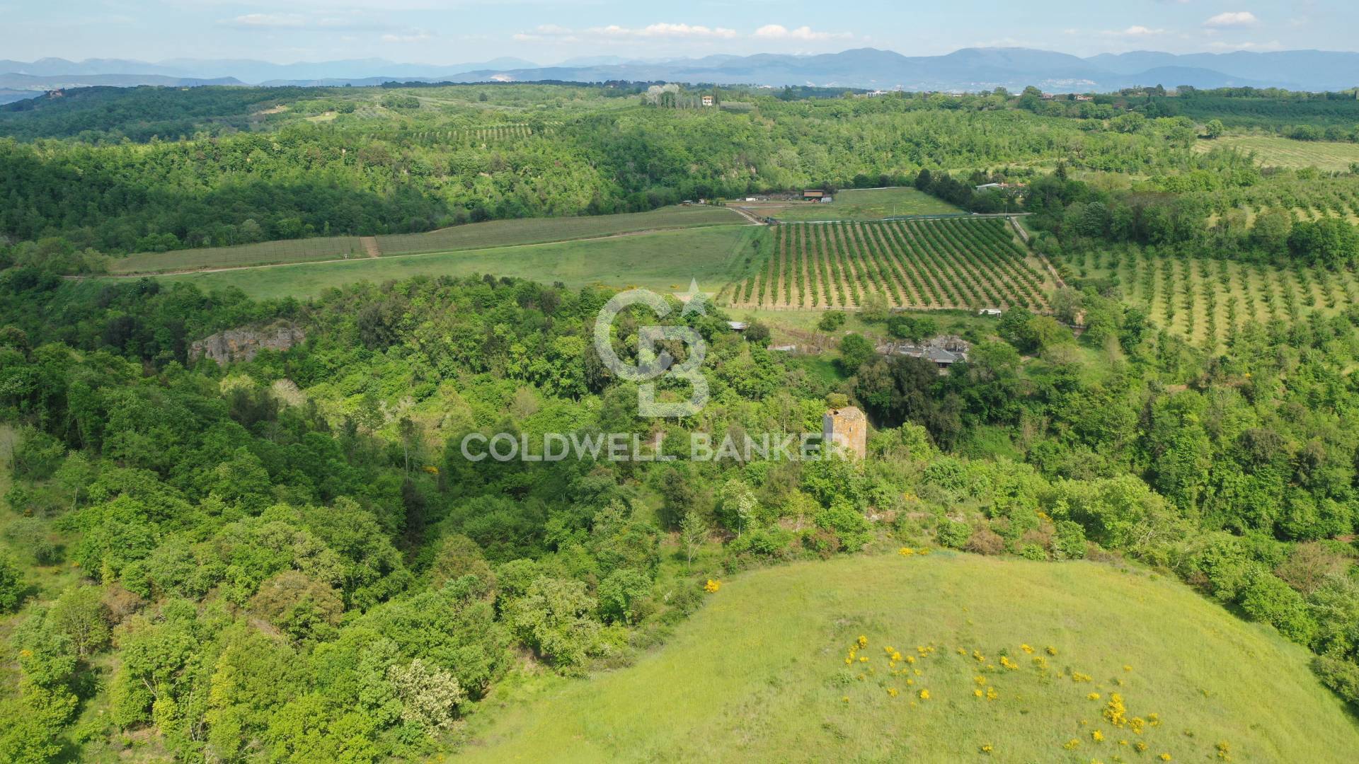 Terreno agricolo in vendita a Vasanello