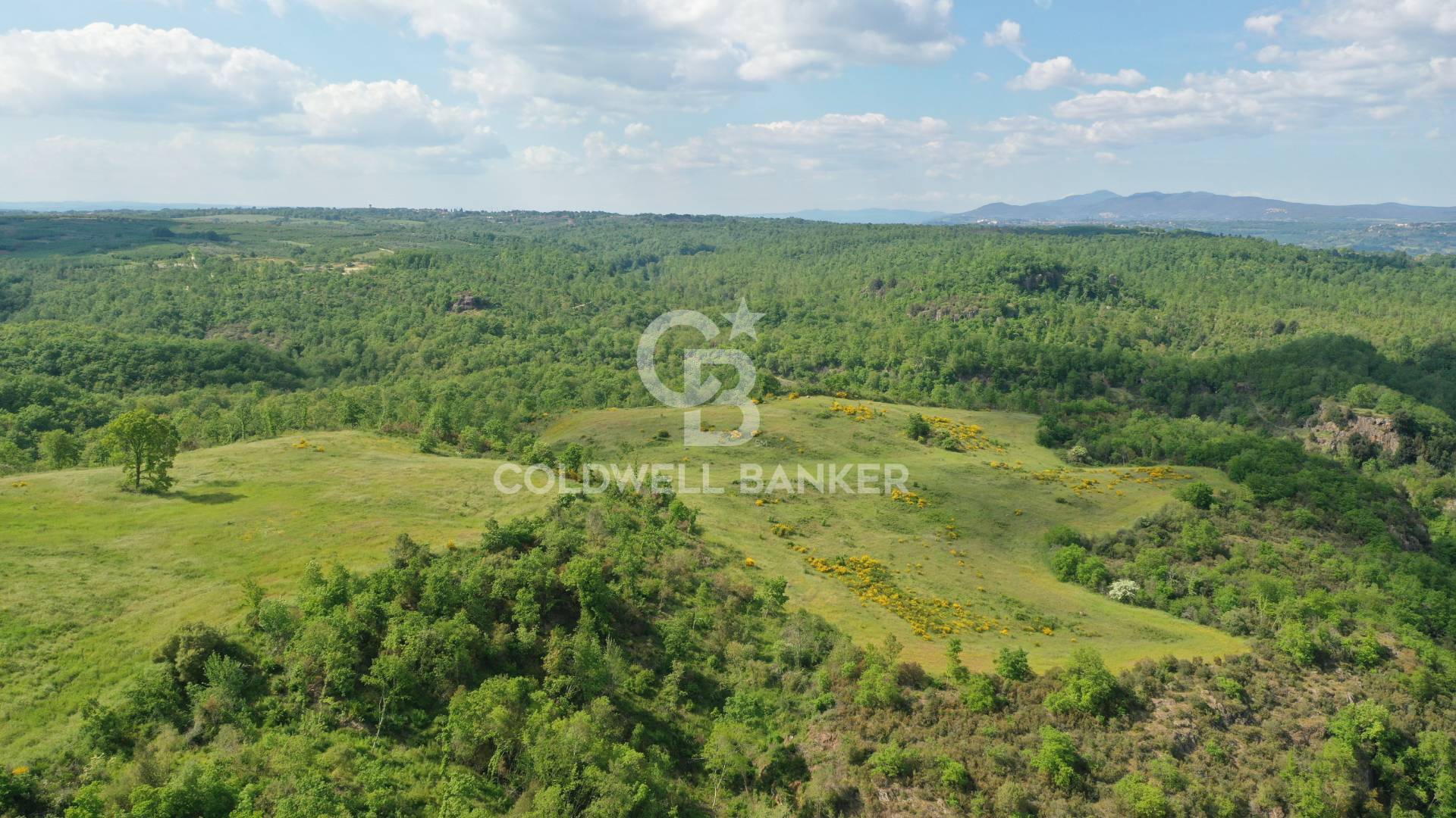 Terreno agricolo in vendita a Vasanello
