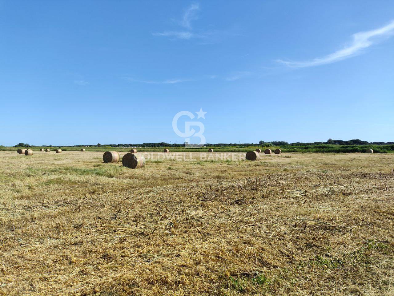 Terreno agricolo in vendita a Montalto di Castro, Pescia Romana