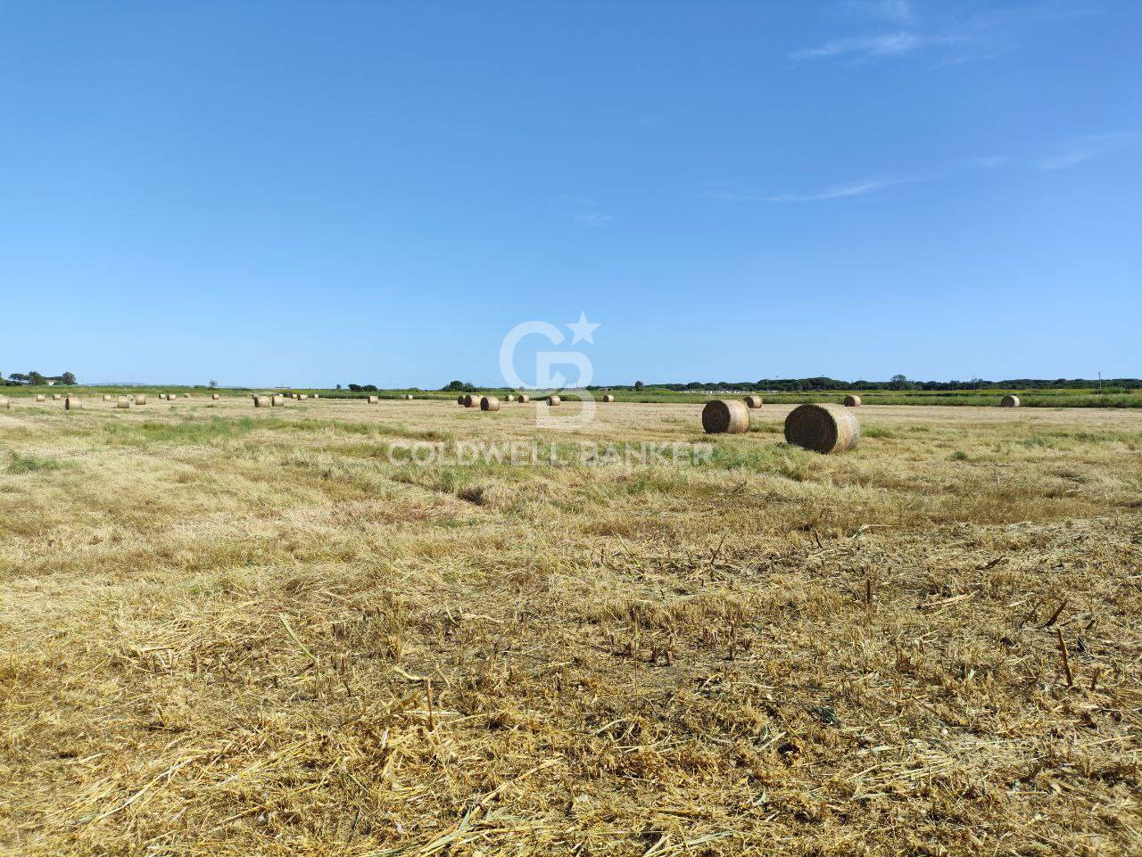 Terreno agricolo in vendita a Montalto di Castro, Pescia Romana