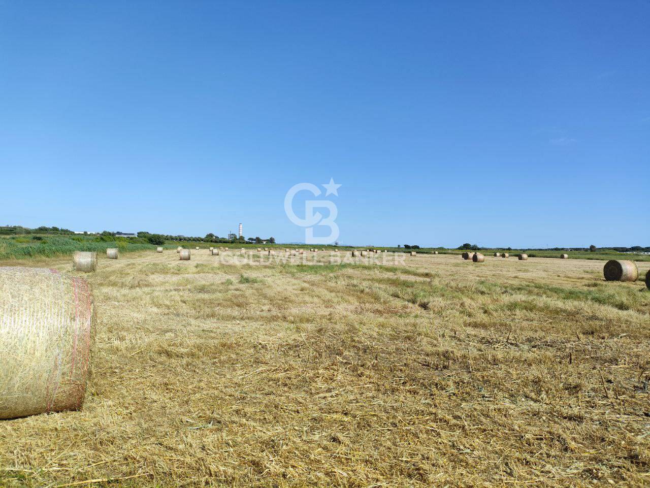 Terreno agricolo in vendita a Montalto di Castro, Pescia Romana
