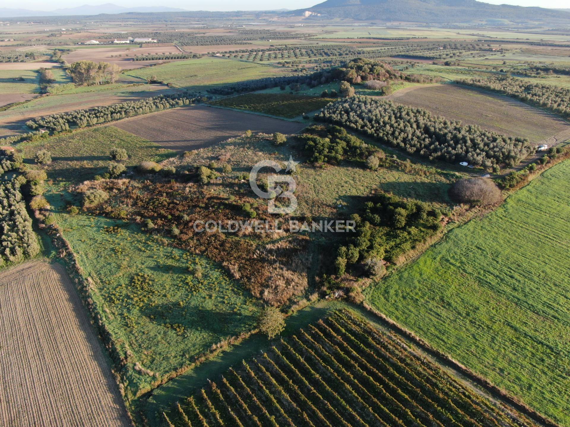 Terreno agricolo in vendita a Canino