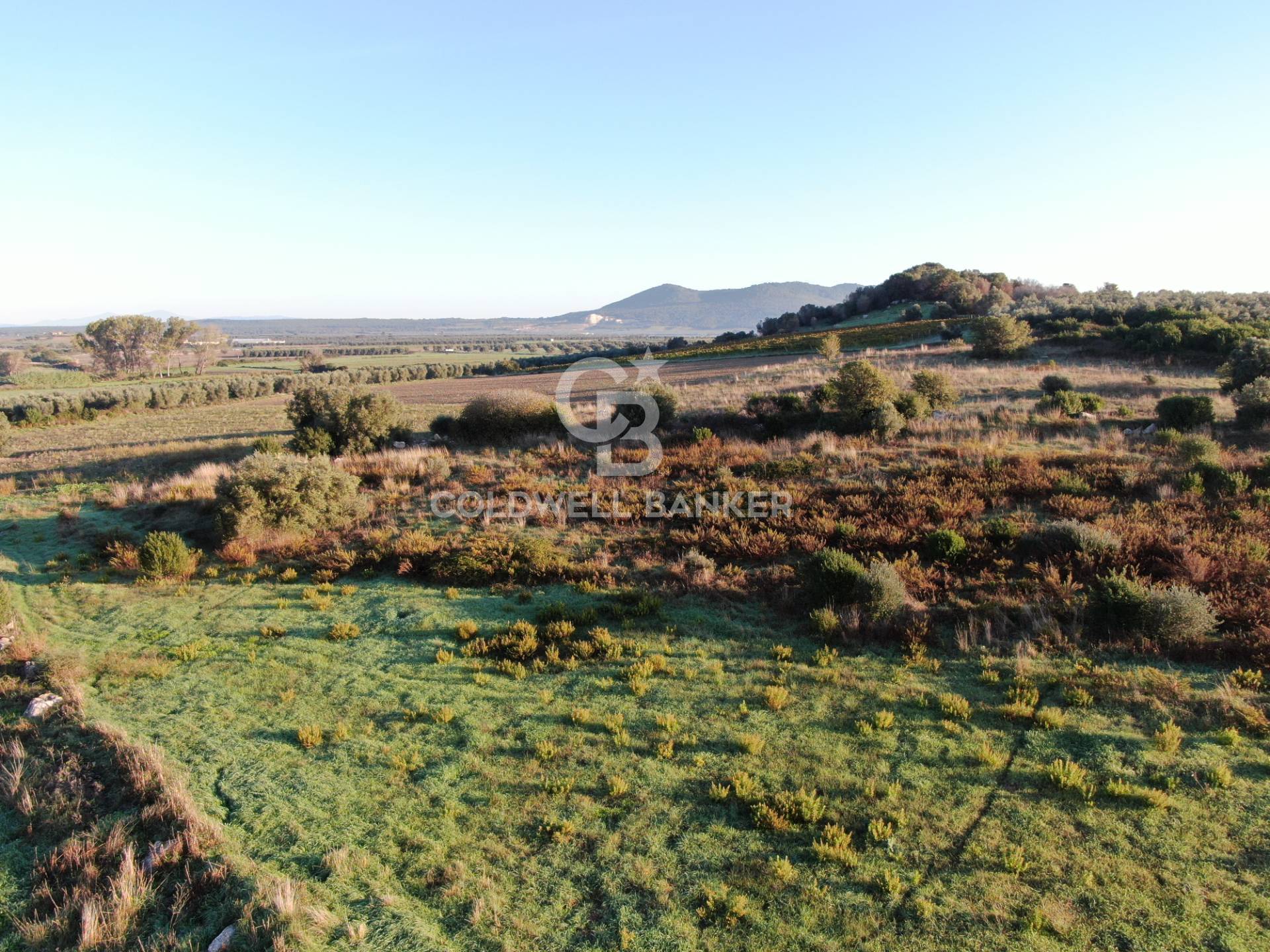 Terreno agricolo in vendita a Canino