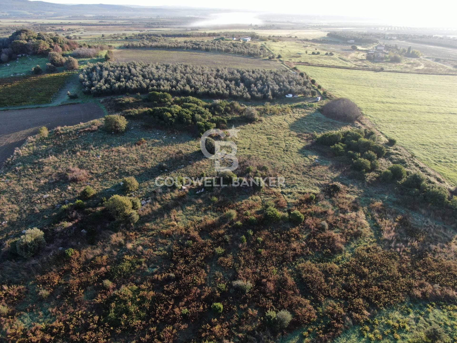 Terreno agricolo in vendita a Canino