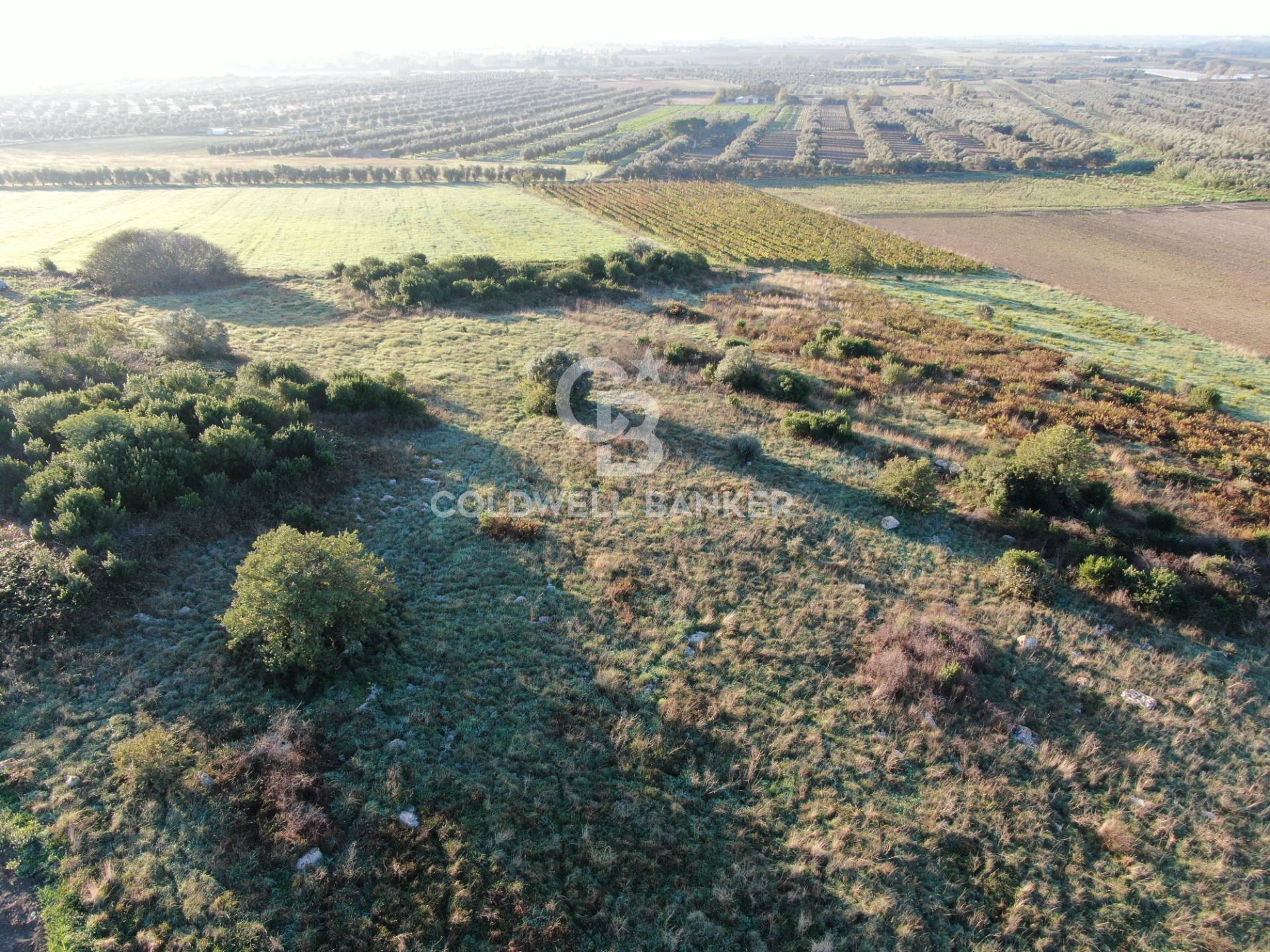 Terreno agricolo in vendita a Canino