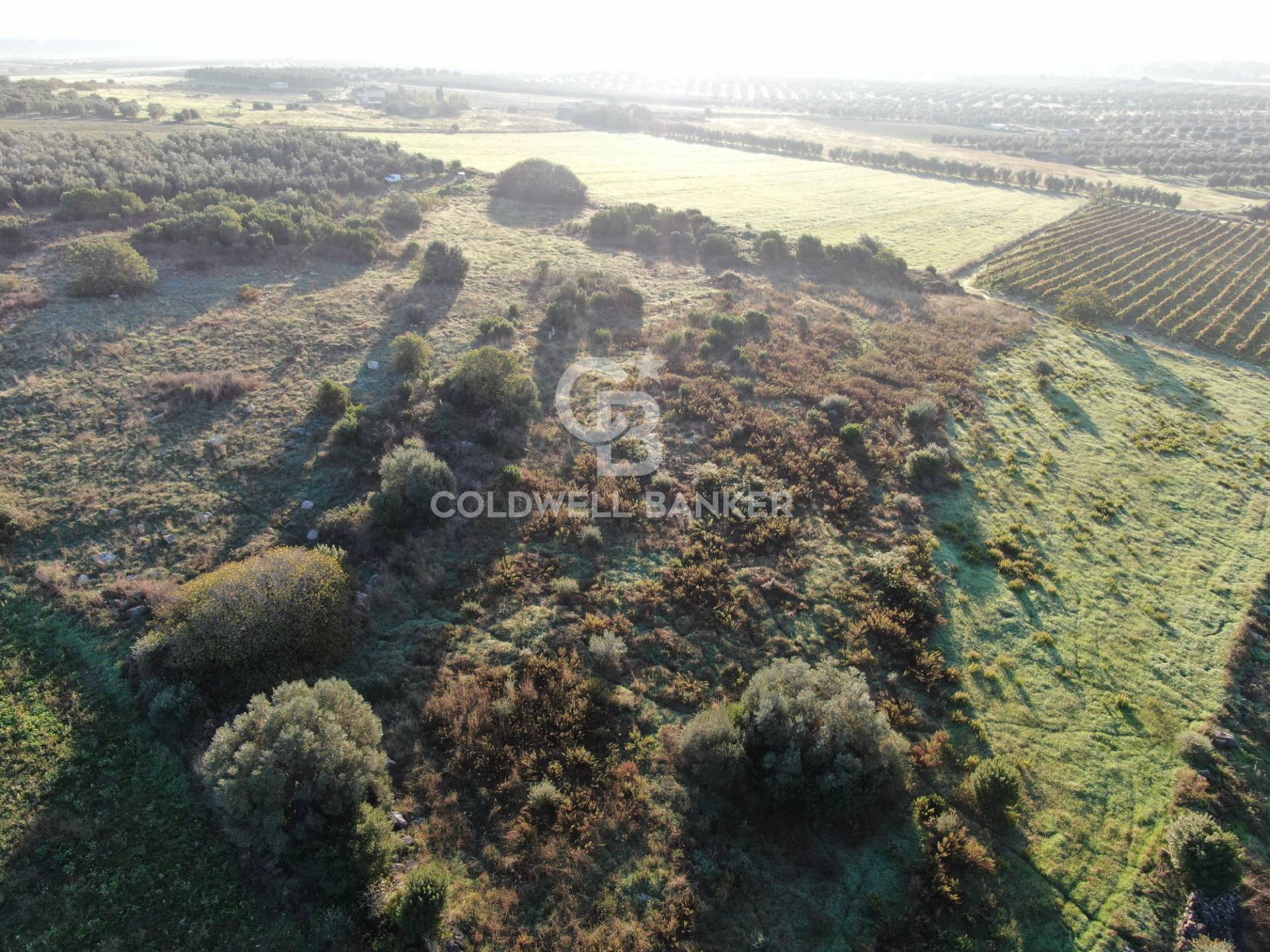 Terreno agricolo in vendita a Canino