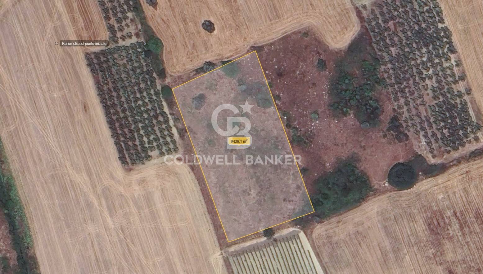 Terreno agricolo in vendita a Canino