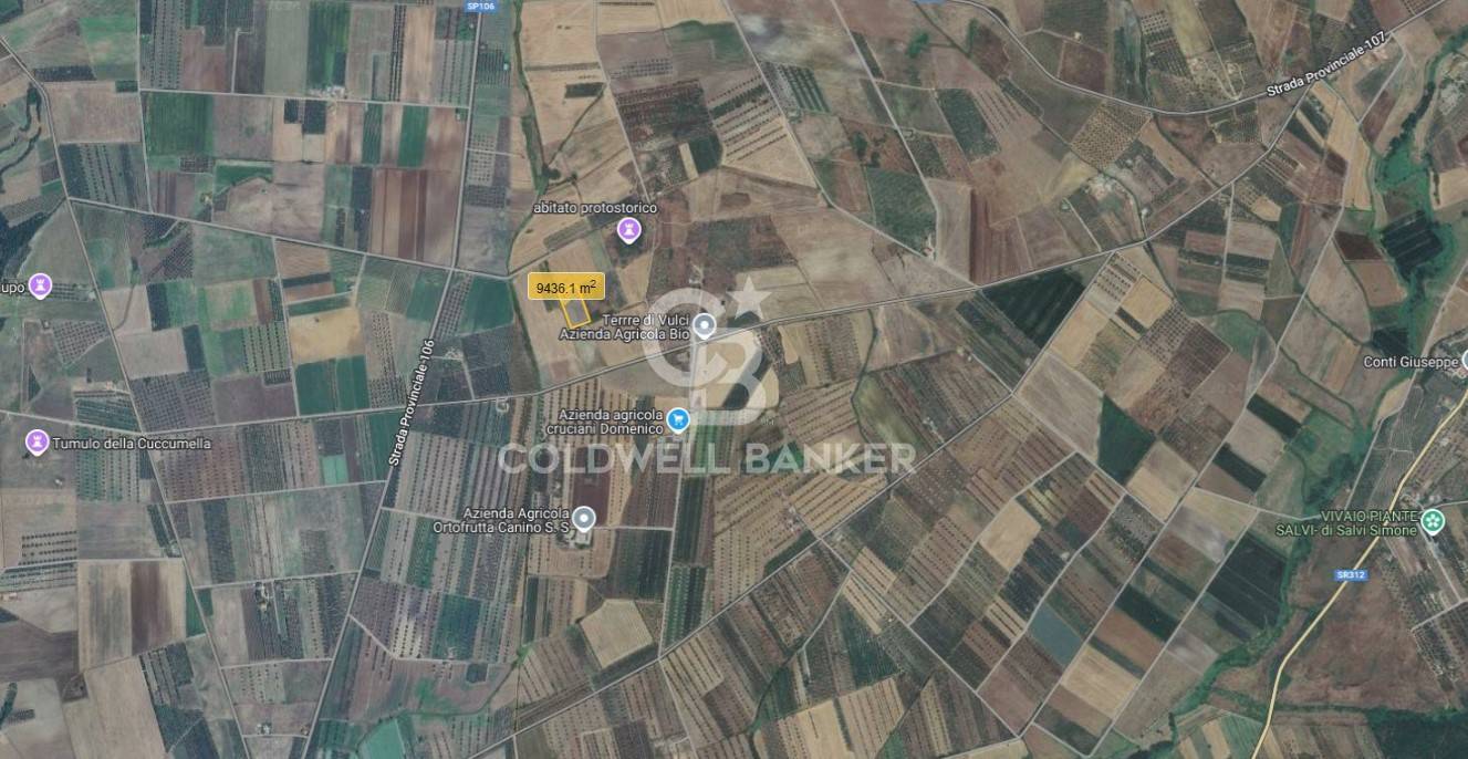 Terreno agricolo in vendita a Canino