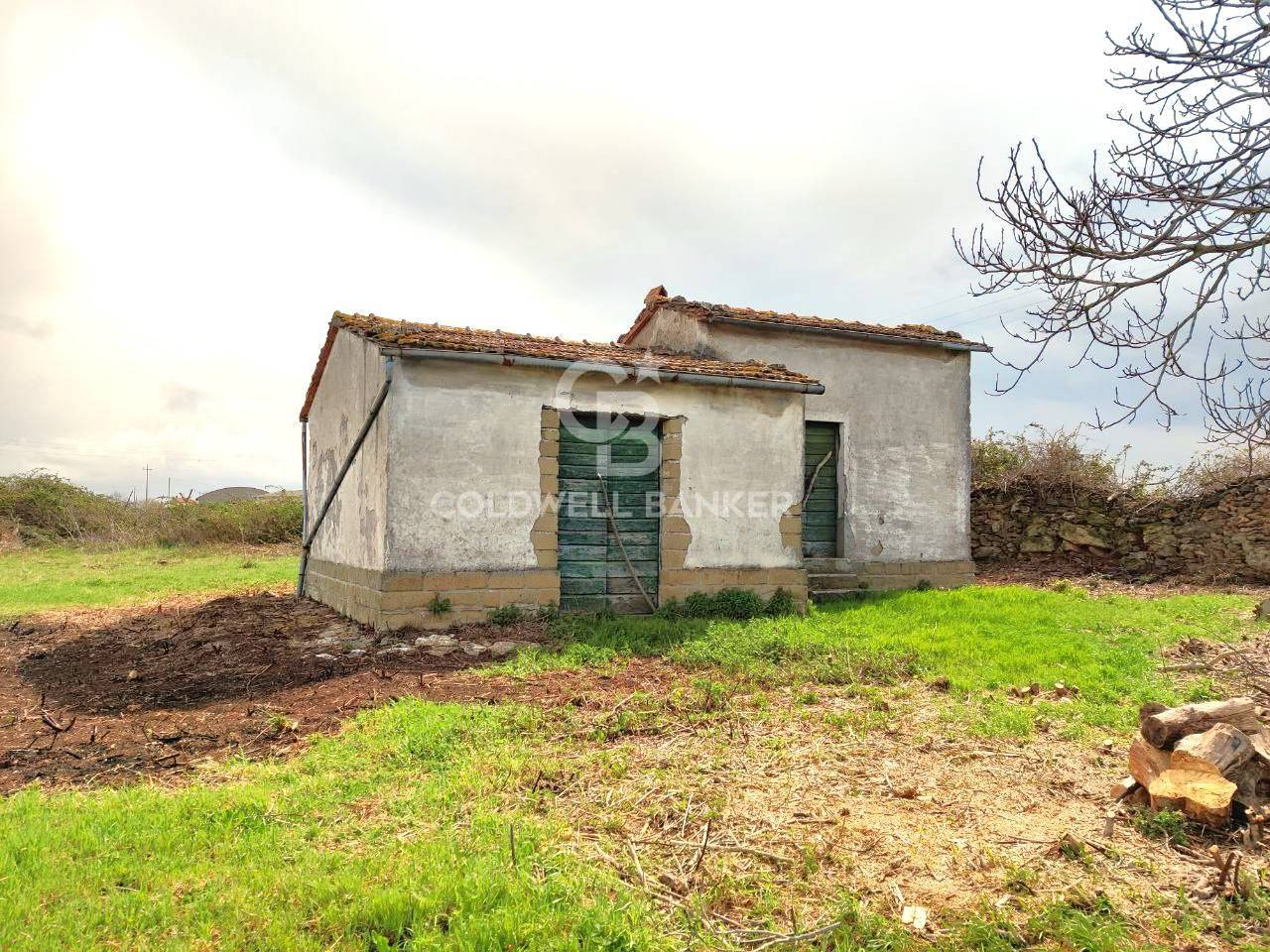 Terreno agricolo in vendita a Ischia di Castro