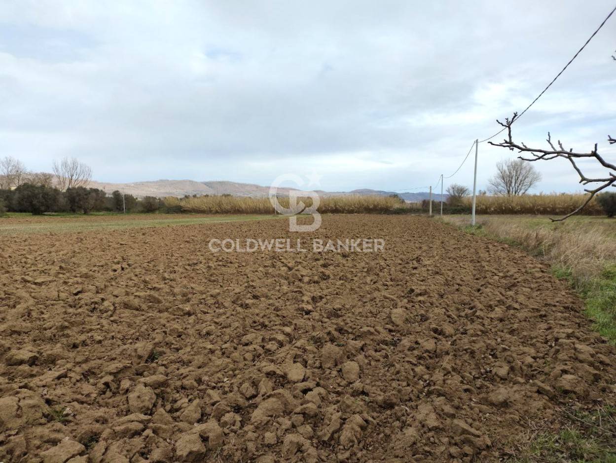 Terreno agricolo in vendita a San Lorenzo Nuovo