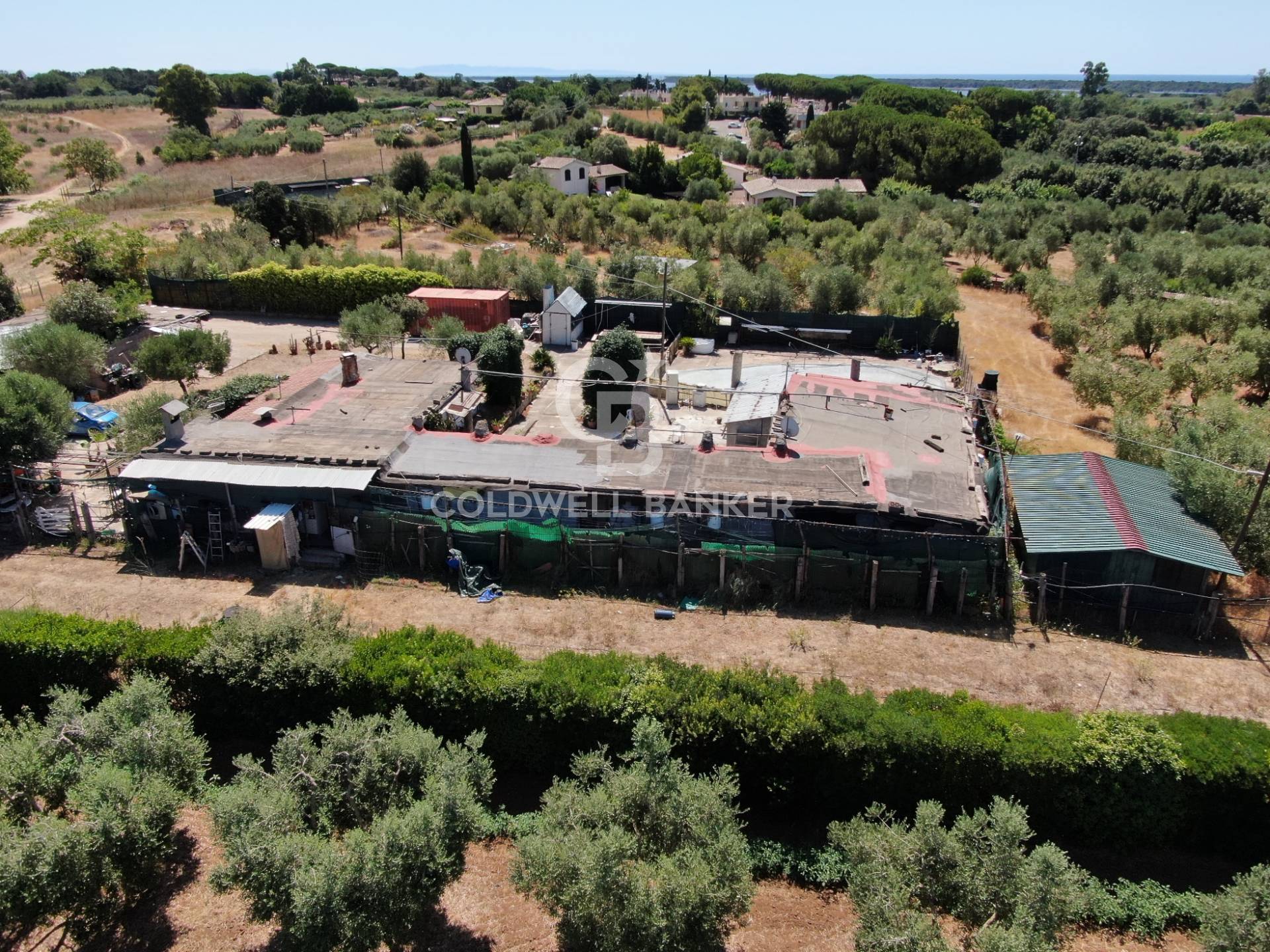 immagine annuncio 5 di 10