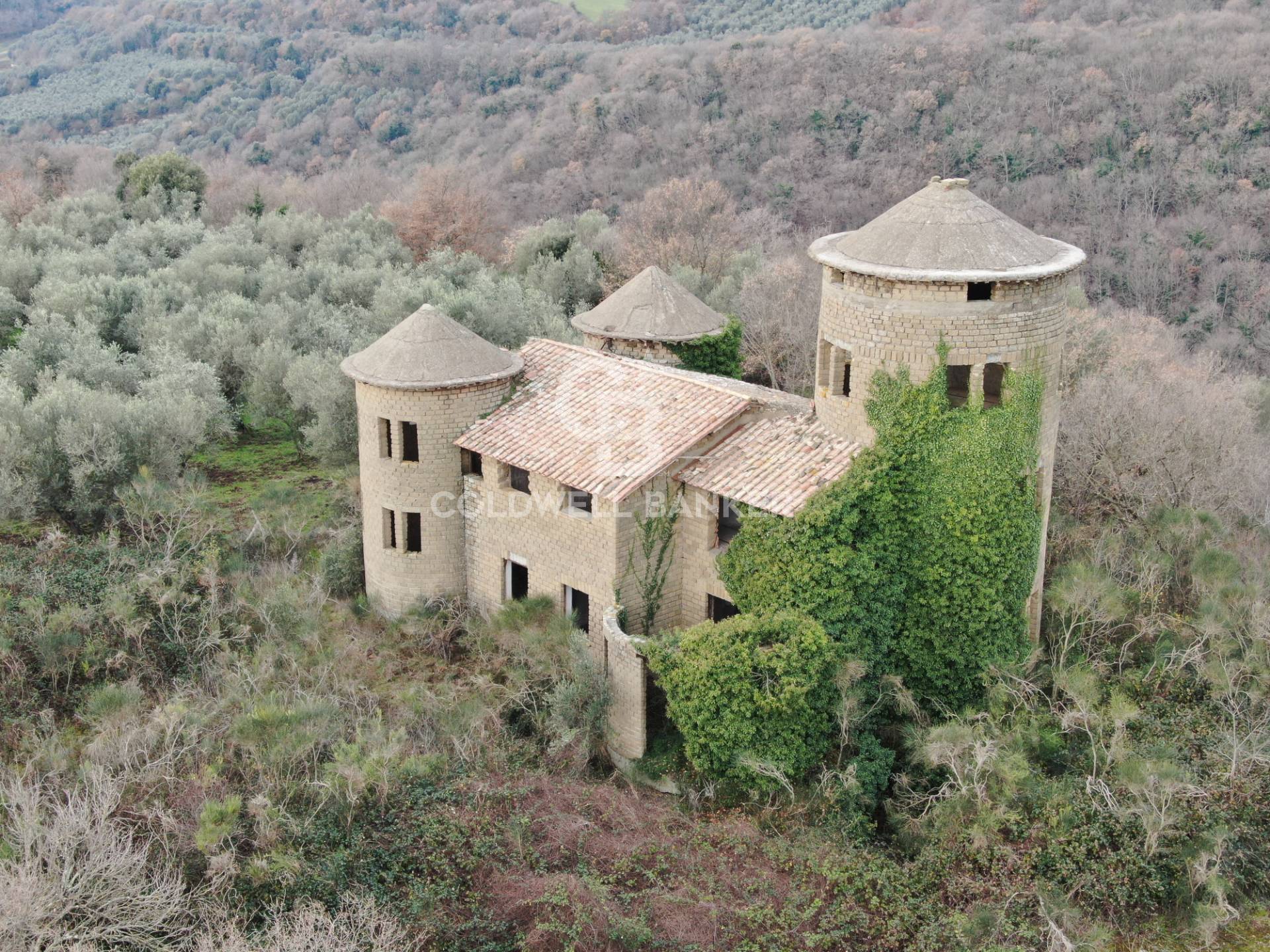 Castello in vendita a Farnese