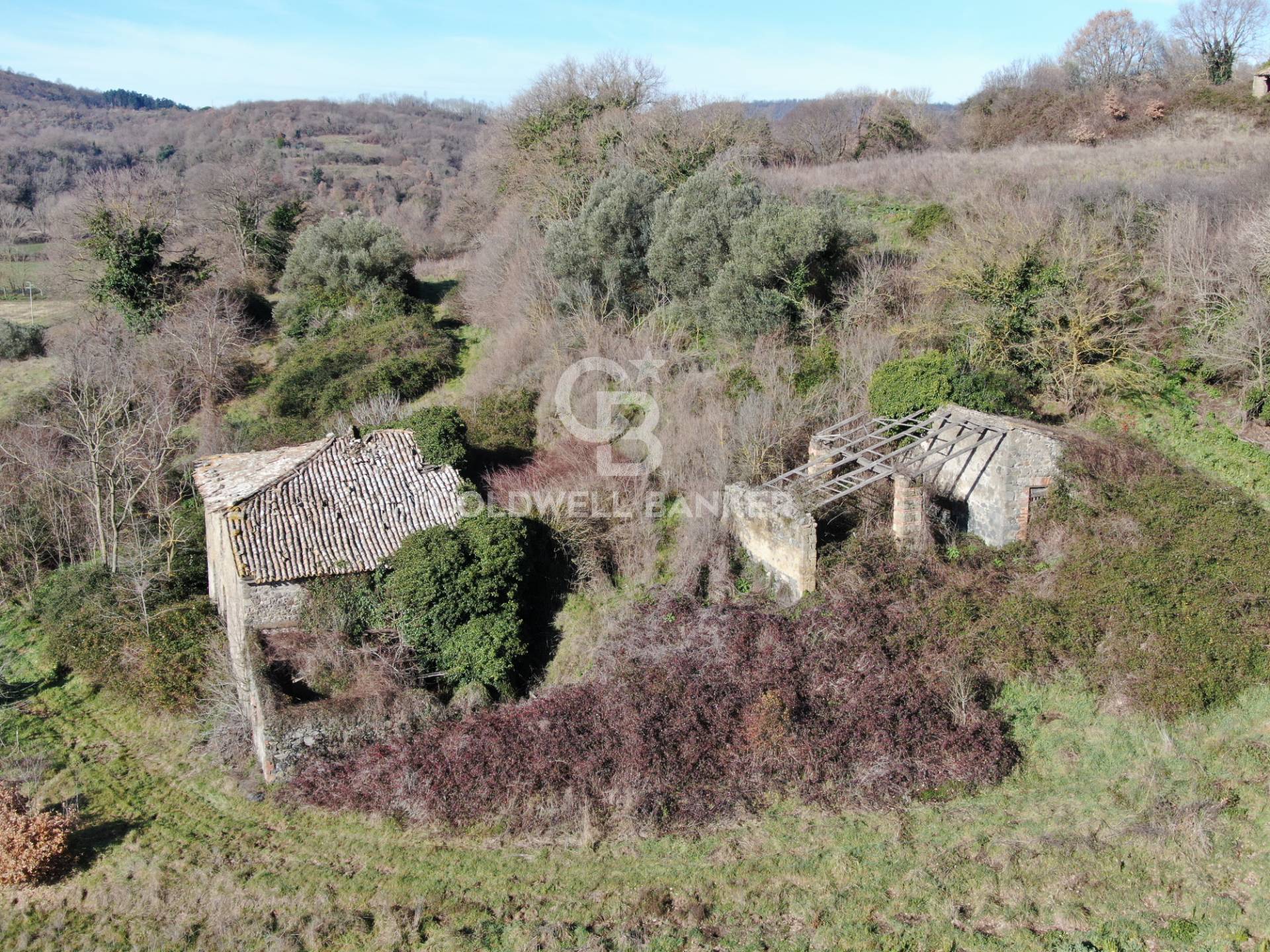 Rustico/Casale/Corte in vendita a Latera