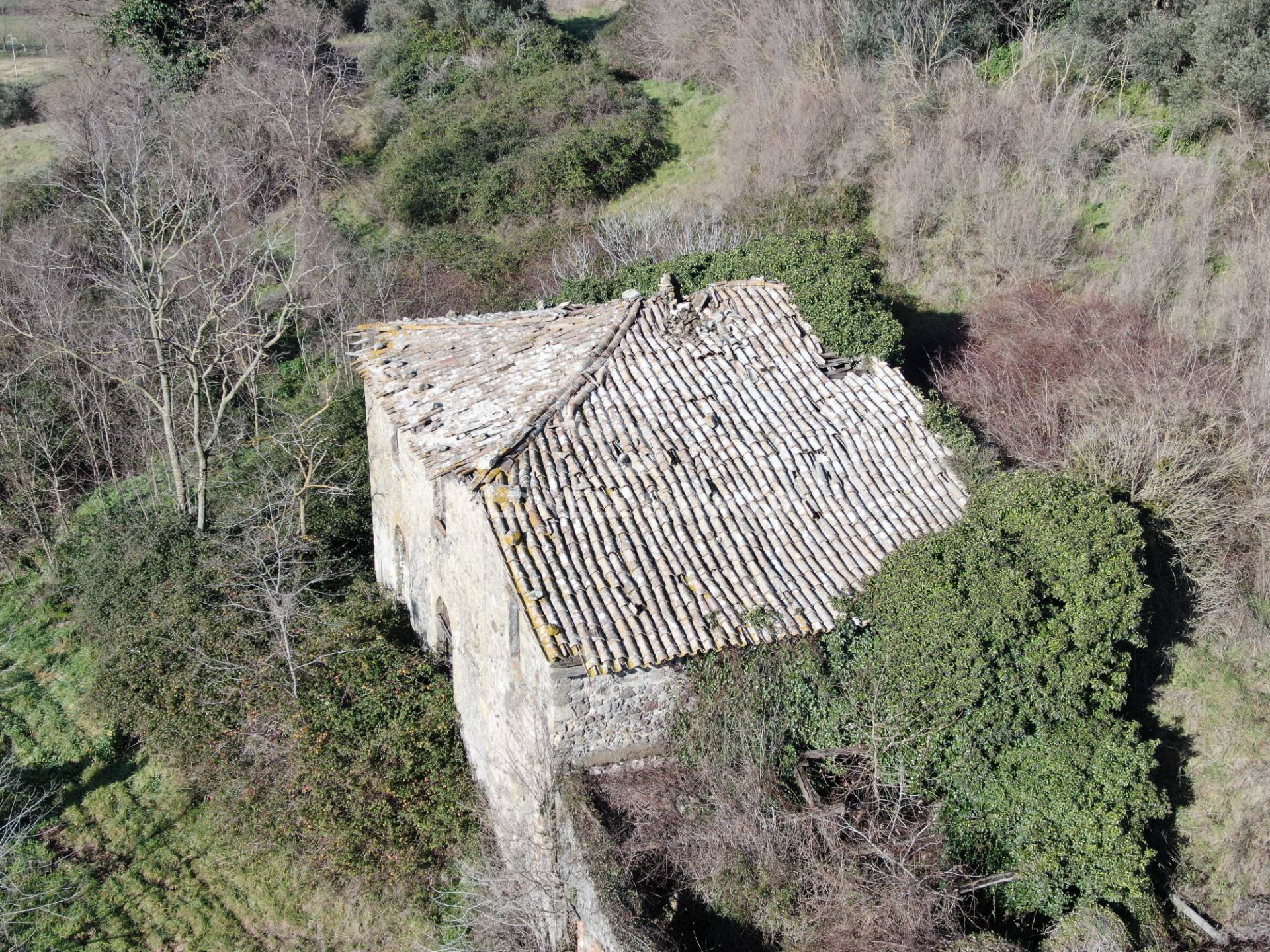 Rustico/Casale/Corte in vendita a Latera