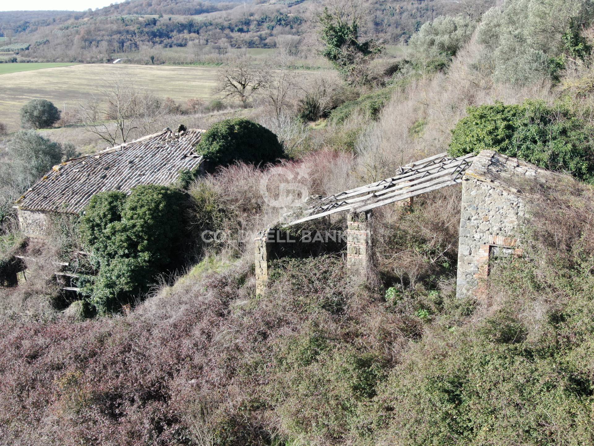 Rustico/Casale/Corte in vendita a Latera