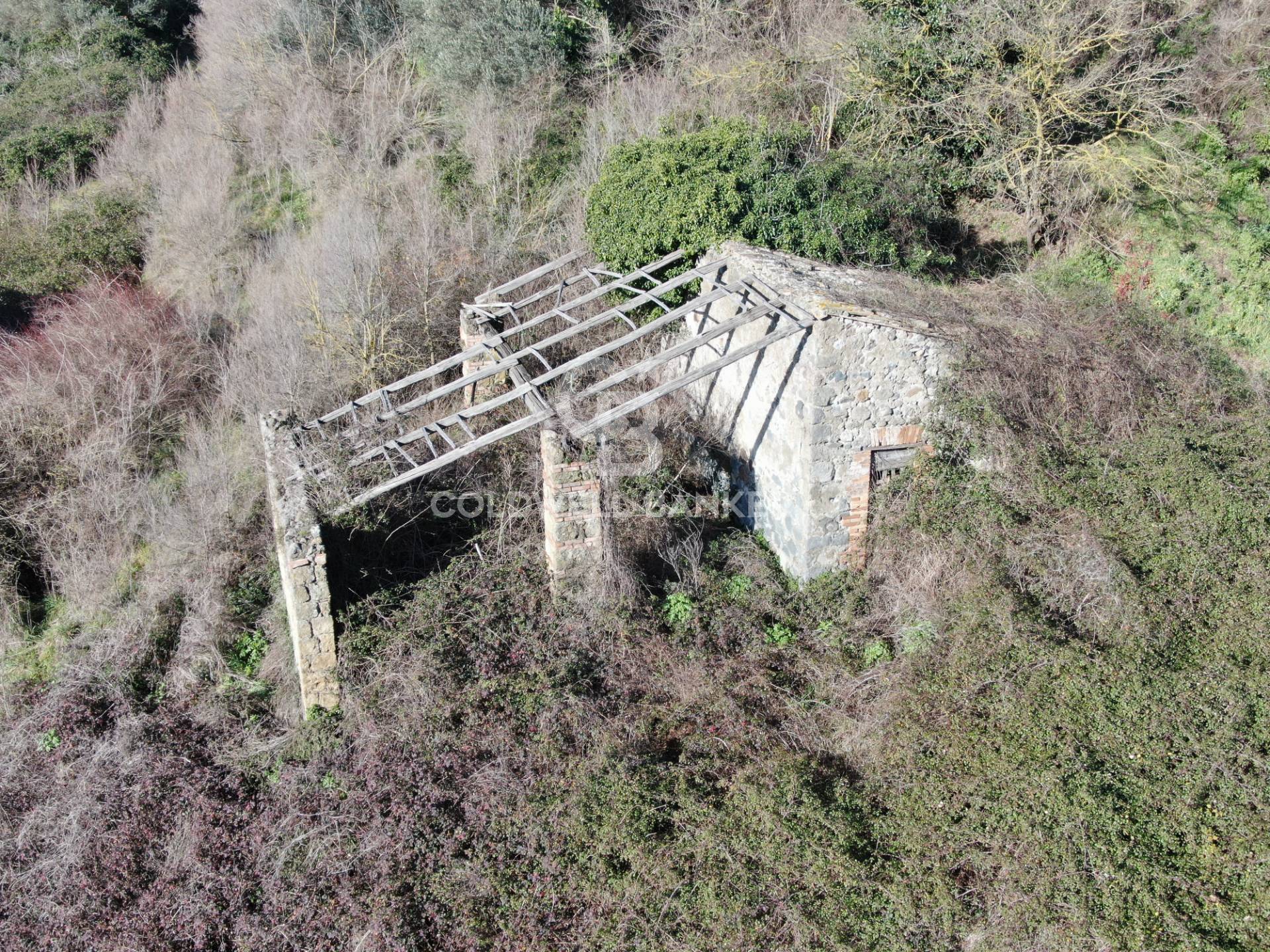 Rustico/Casale/Corte in vendita a Latera