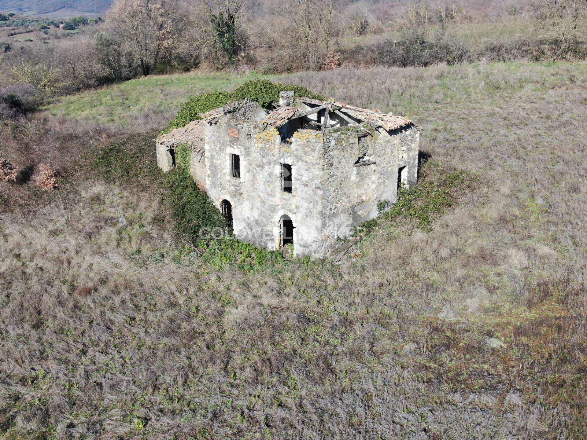 Rustico/Casale/Corte in vendita a Latera