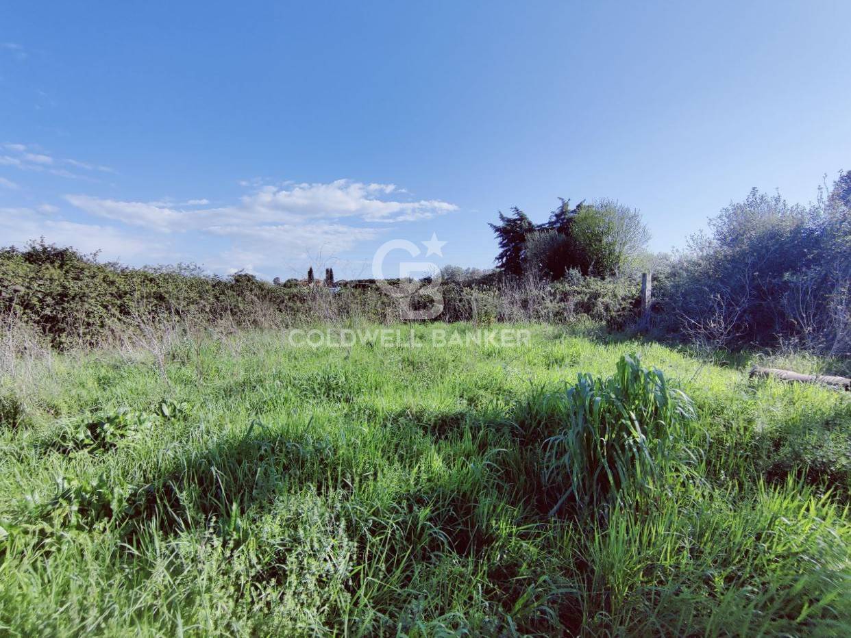 Terreno agricolo in vendita a Montalto di Castro, Montalto di Castro