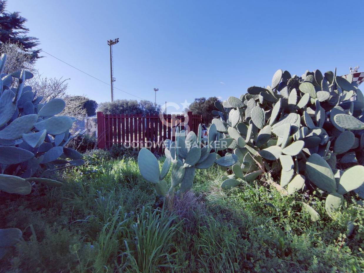 Terreno agricolo in vendita a Montalto di Castro, Montalto di Castro