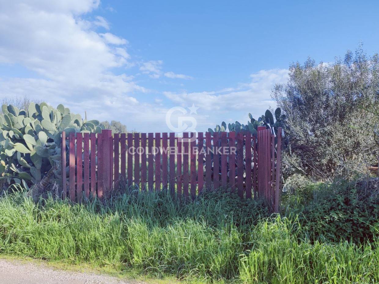 Terreno agricolo in vendita a Montalto di Castro, Montalto di Castro