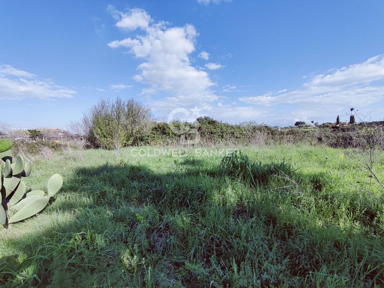 Terreno agricolo in vendita a Montalto di Castro, Montalto di Castro