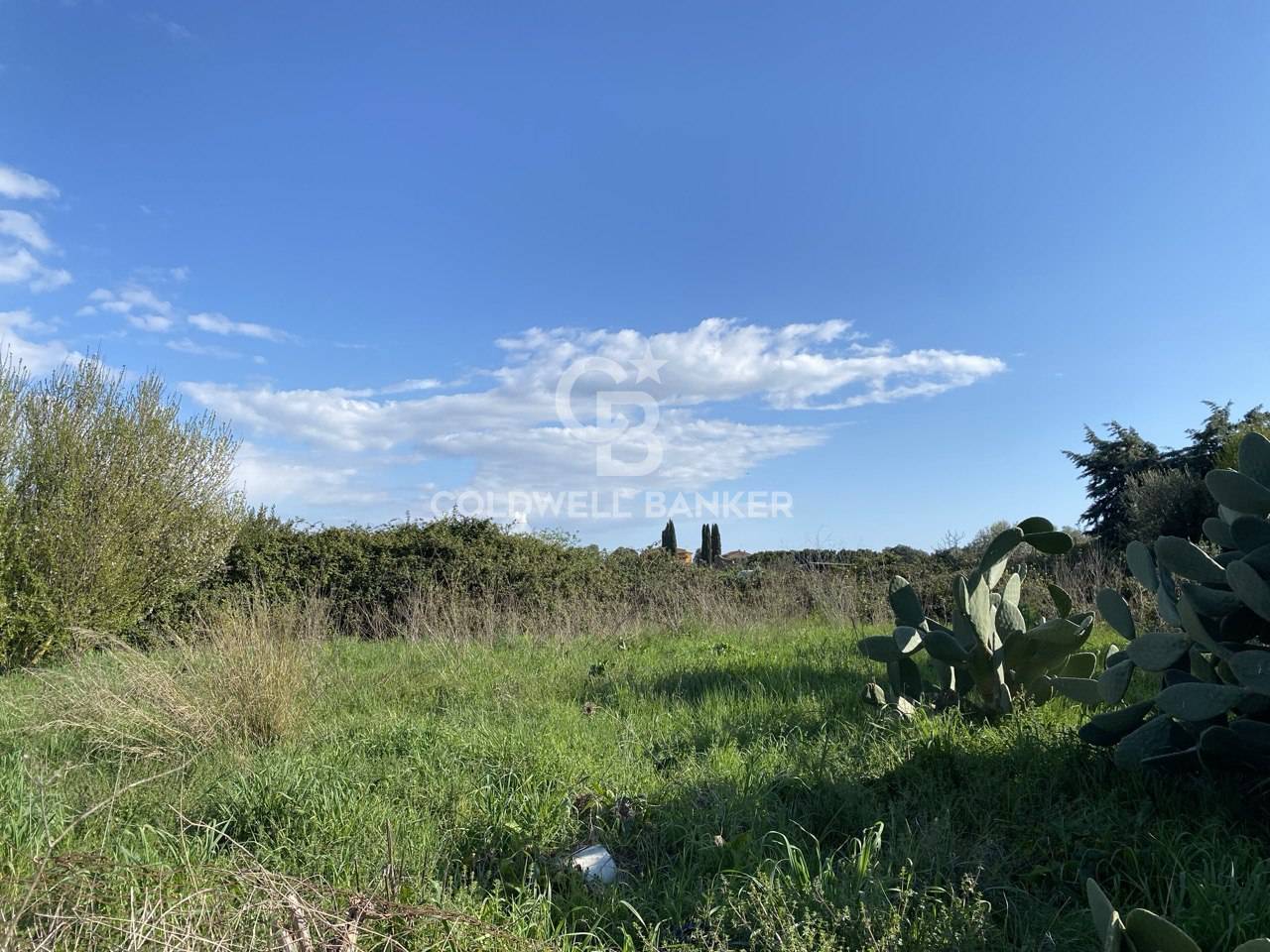 Terreno agricolo in vendita a Montalto di Castro, Montalto di Castro